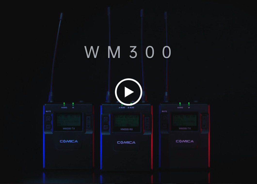 WM300
