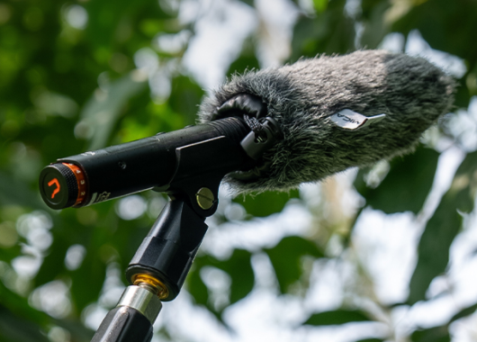 Outdoor Recording Tips With Comica VM30