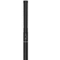 VP3