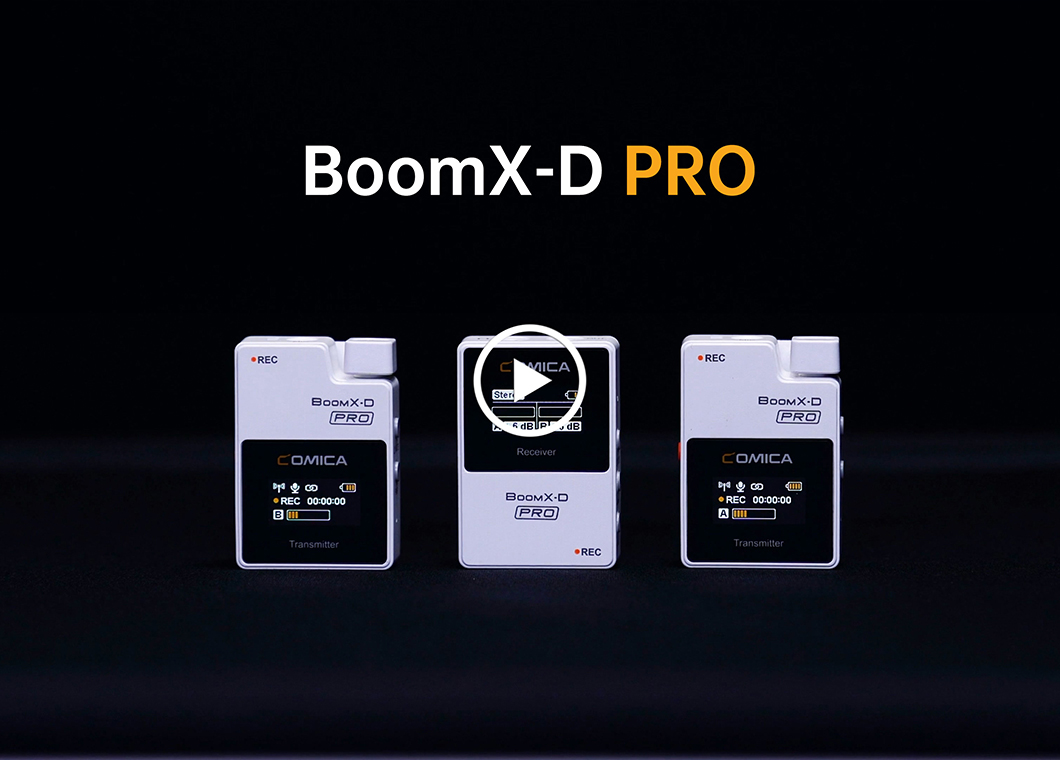 BoomX-D PRO