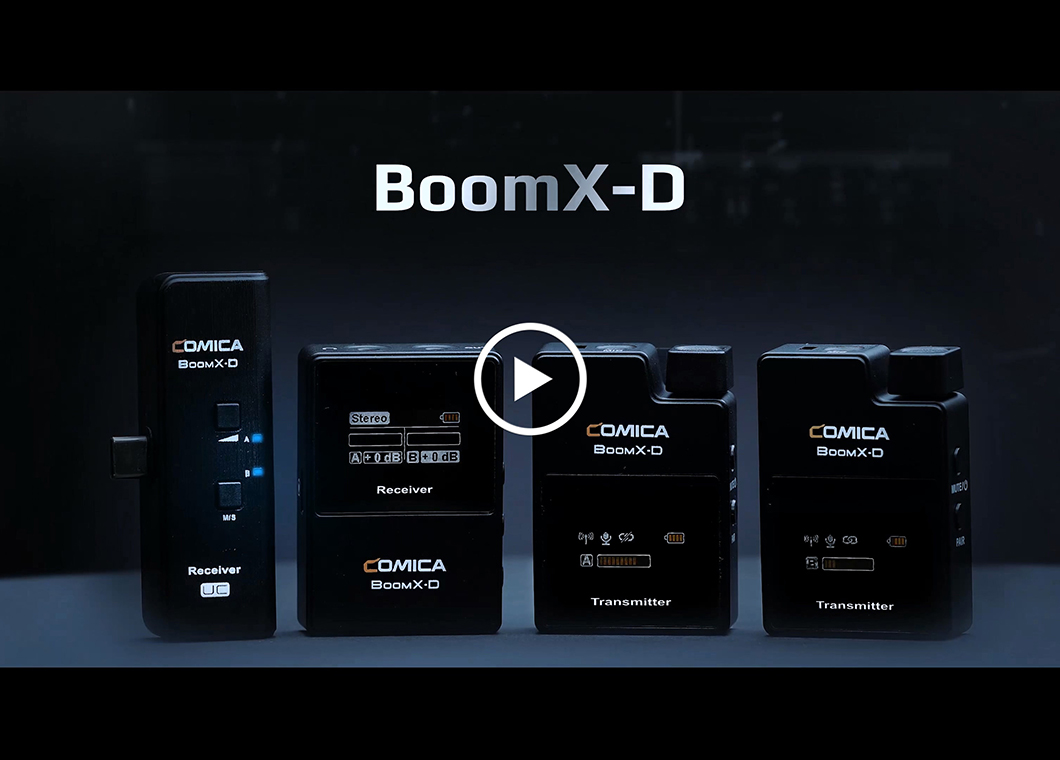 BoomX-D